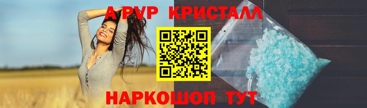 А ПВП крисы CK Курчалой