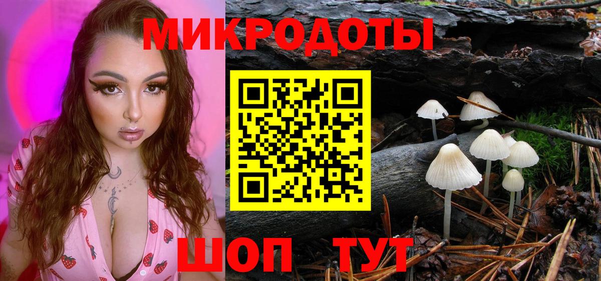 Галлюциногенные грибы Cubensis  Вход с VPN  закладка  Курчалой 